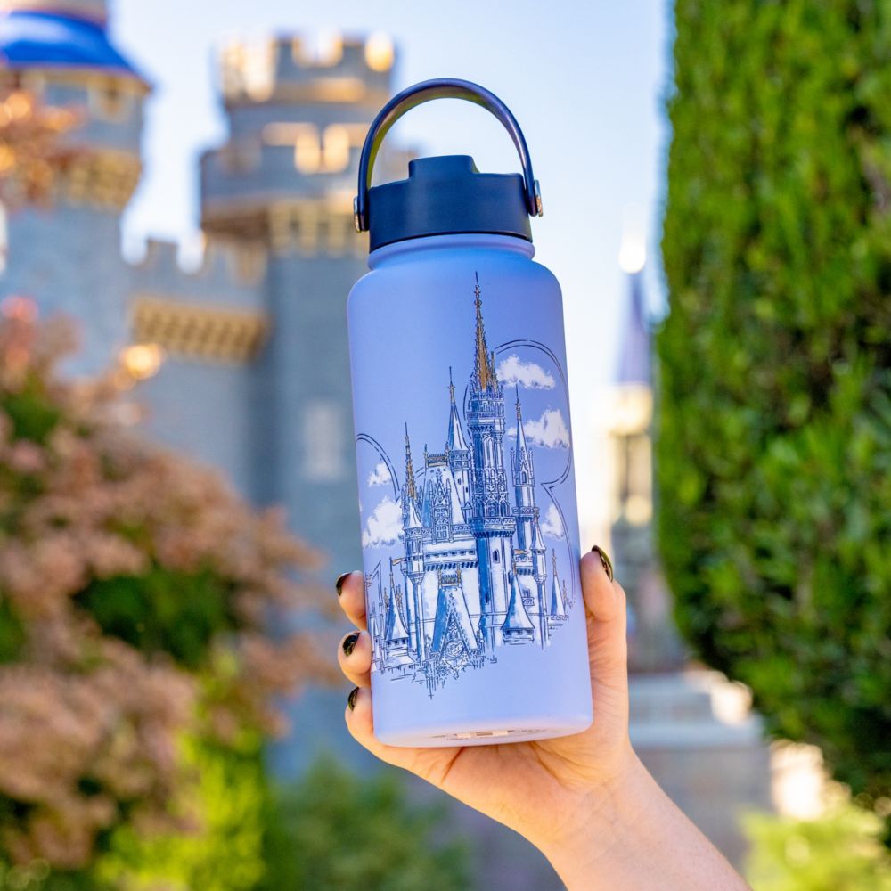 A hand holding a Cinderella Castle insulated water bottle
