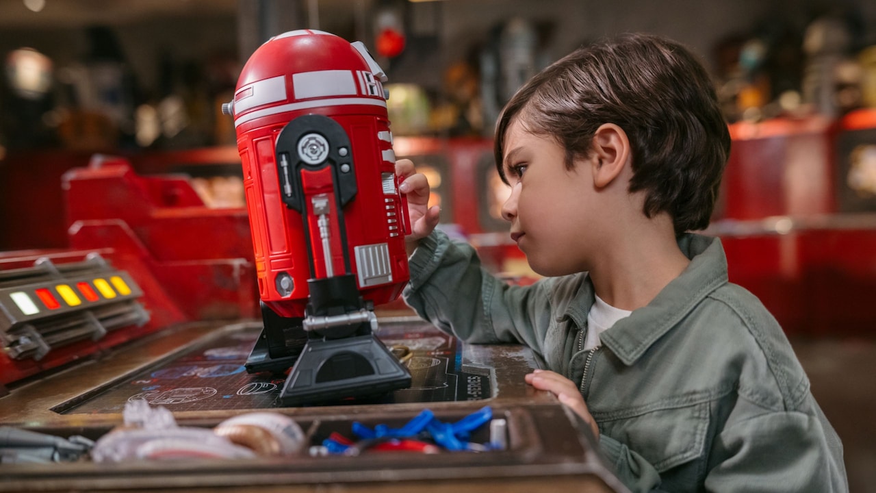 WDW Star Wars: Galaxy's Edge Custom Astromech Units at Walt Disney World