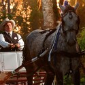 Man in cowboy hat giving a family of 3 a ride by horse and carriage