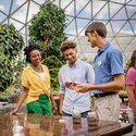 A Cast Member shows 2 Guests a container of seeds near a topiary shaped like Mickey Mouse