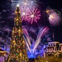 Fireworks bursting in the night sky above Cinderella Castle and a giant Christmas tree at Magic Kingdom park