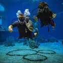 Two scuba divers wave at the camera while floating underwater in a large aquarium tank  