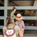 A woman and a young girl observe a rhinoceros through a gated enclosure at Disney’s Animal Kingdom Park
