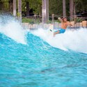 A man surfs a wave surrounded by palm trees