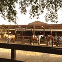 Six horses in a pen near a sign that says ‘Tri Circle D Ranch Trail Rides’