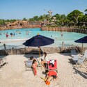 Families under beach umbrellas on lounge chairs by a pool surrounded by palm trees