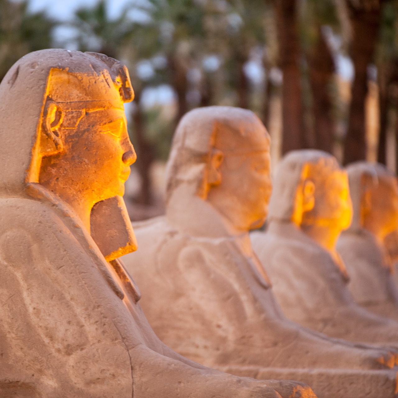 A row of small, illuminated Sphinx statues at Luxor Temple in Egypt