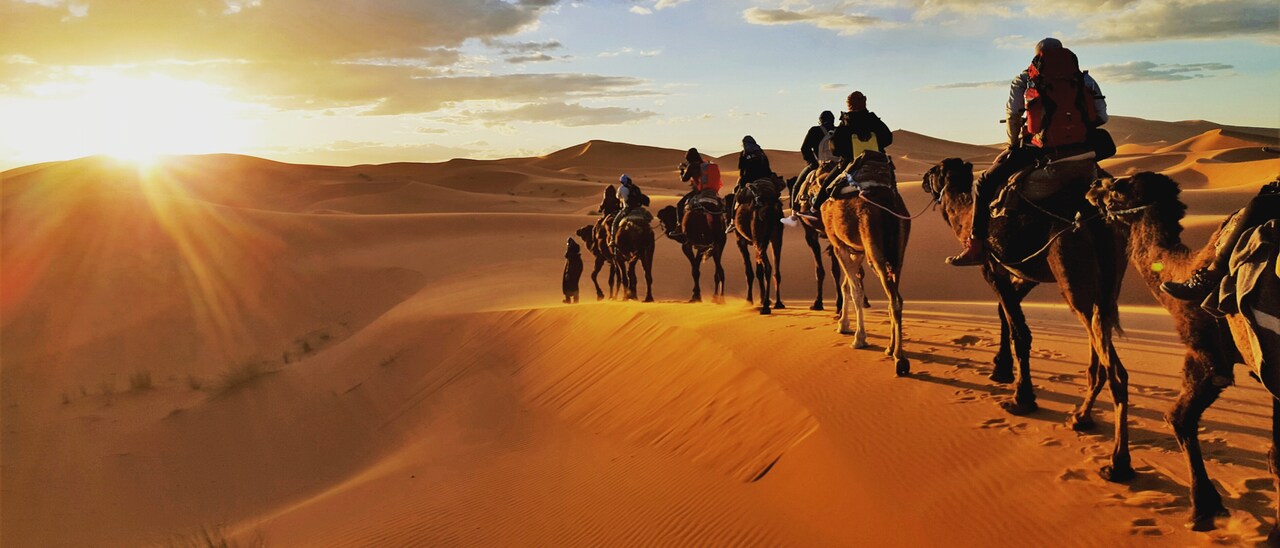 A line of people riding camels across a sand dune in the desert at sunrise