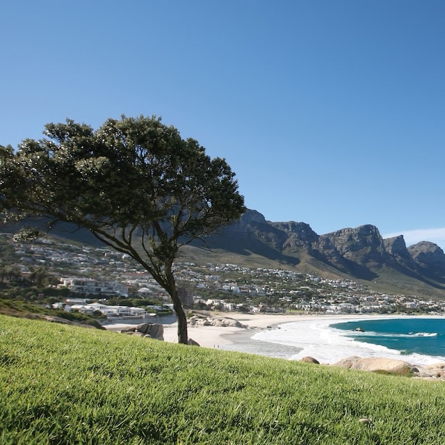 South Africa Safari & Tours | Adventures by Disney