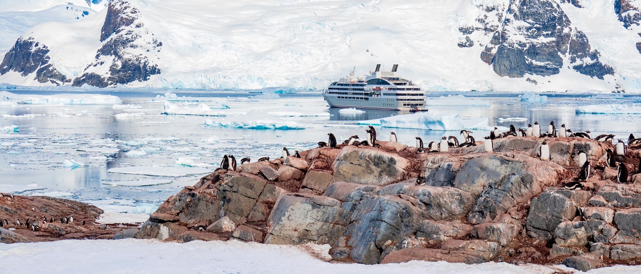 An expedition cruise ship sails among ice floes between a snowy mountain and rocks with penguins