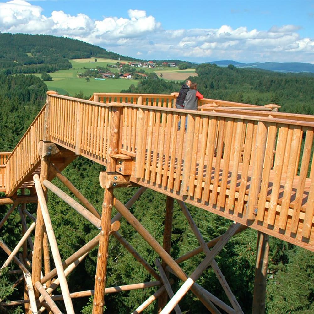 A large wooden structure above the treetops overlooking forests and pastures A large wooden structure above the treetops overlooking forests and pastures