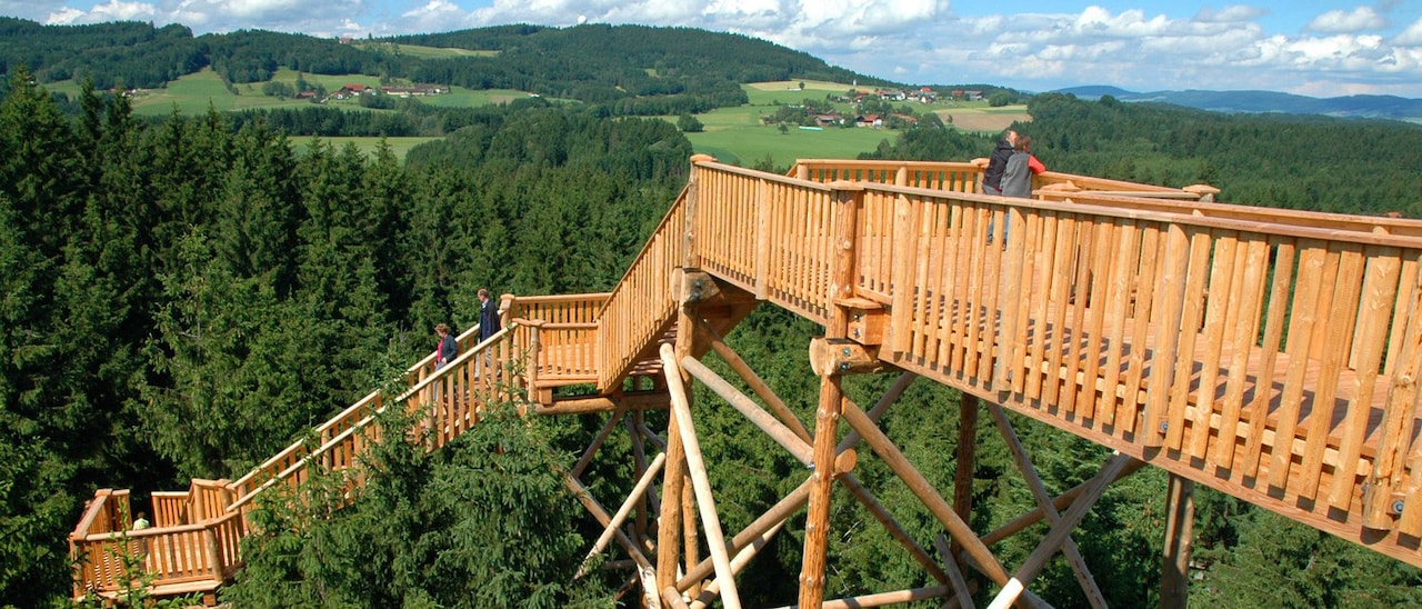 A large wooden structure above the treetops overlooking forests and pastures A large wooden structure above the treetops overlooking forests and pastures