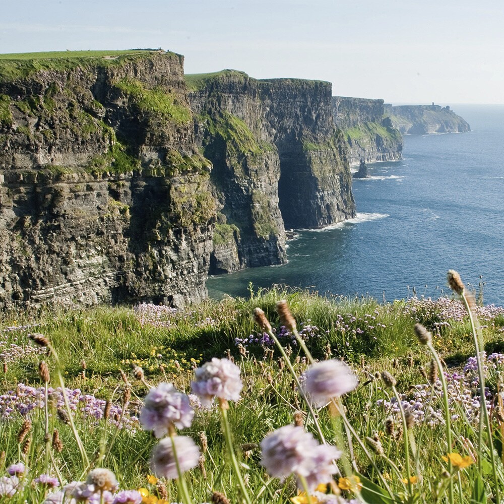 The Cliffs of Moher loom over the sea