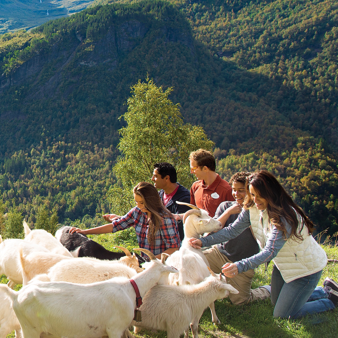 norway vacations tour packages