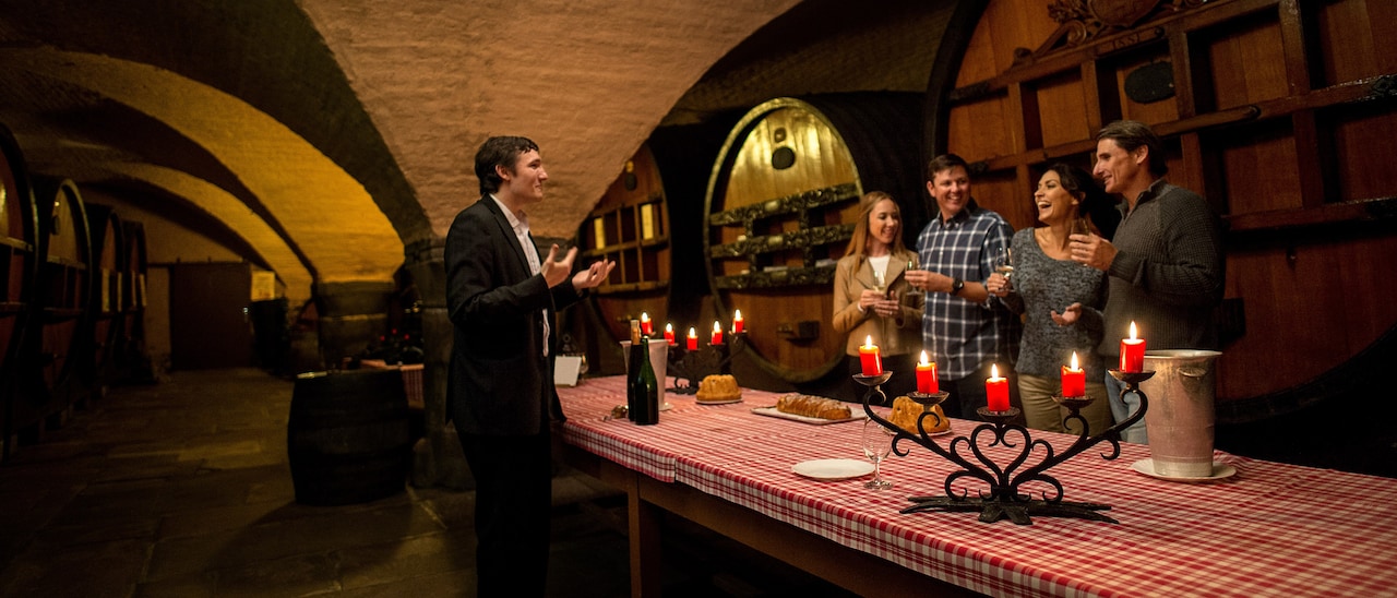 2 couples wine tasting in a winery and talking to a vintner