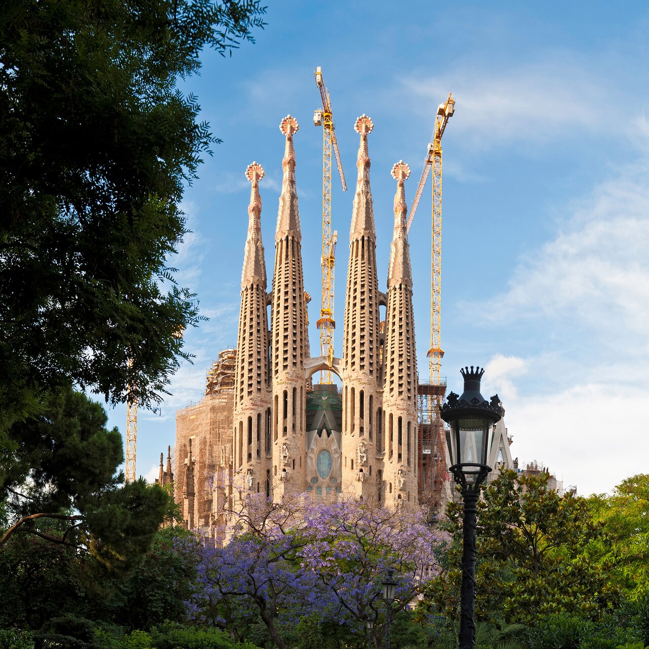 The whimsical spires of Gaudí's Sagrada Família in Barcelona loom above the treetops