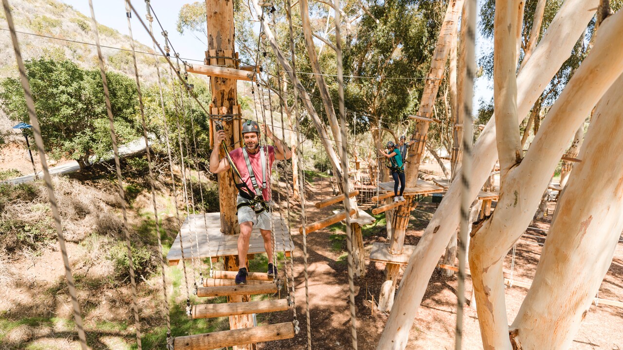 Catalina Aerial Adventure Zip Lines, Bridges, and Obstacles Disney