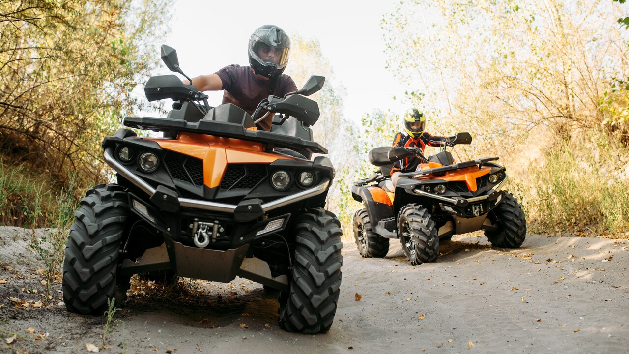 ATV Tour on Mount Etna from Messina (Italy) Disney Cruise Line