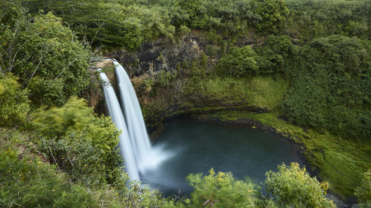 Discover Kauai Highlights Sightseeing Tour from Nawiliwili | Disney ...