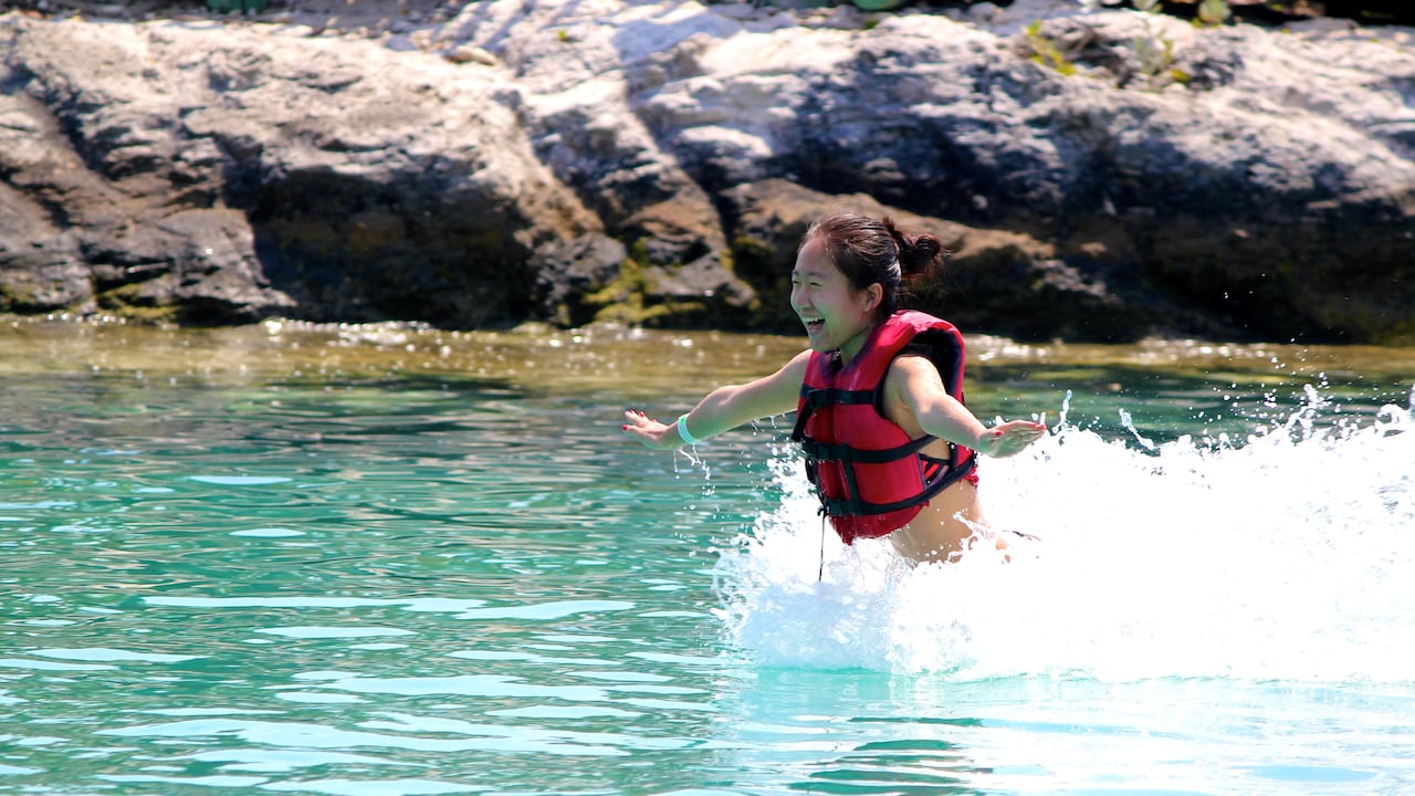 Blue Lagoon Island Dolphin Swim Disney Cruise Line