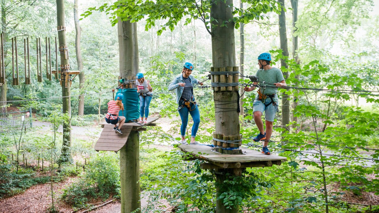 Climbing at Fun Forest Amsterdam Port Adventures Disney Cruise Line