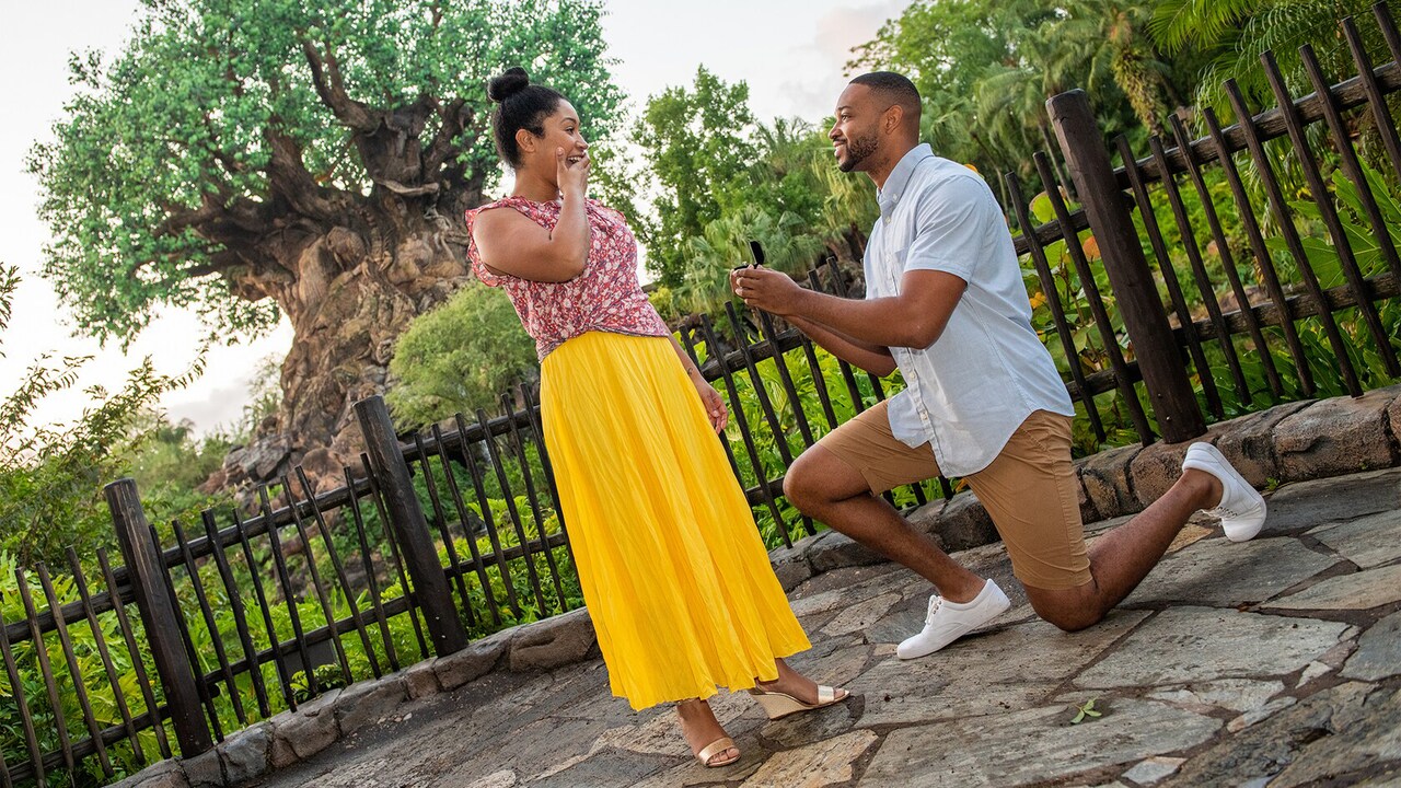 A man on one knee presents a ring to a woman, who covers her mouth in surprise, in front of the Tree of Life.
