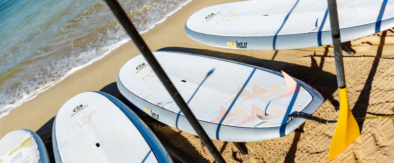 Four paddleboards with oars lined up on the sand at the water's edge