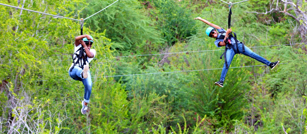 A boy wearing a helmet and harness rides a zipline through trees
