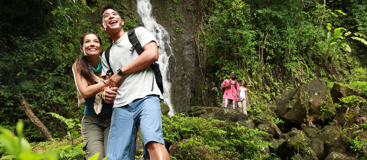 Two young couples admire the beauty of a waterfall in a tropical forest