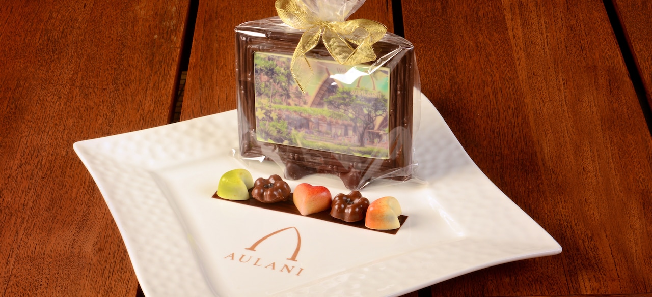 A chocolate picture postcard of Aulani is gift-wrapped on a plate with an assortment of candies.