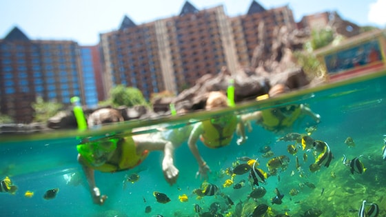 Familia buceando en medio de la vida marina en Aulani, A Disney Resort & Spa en Ko Olina