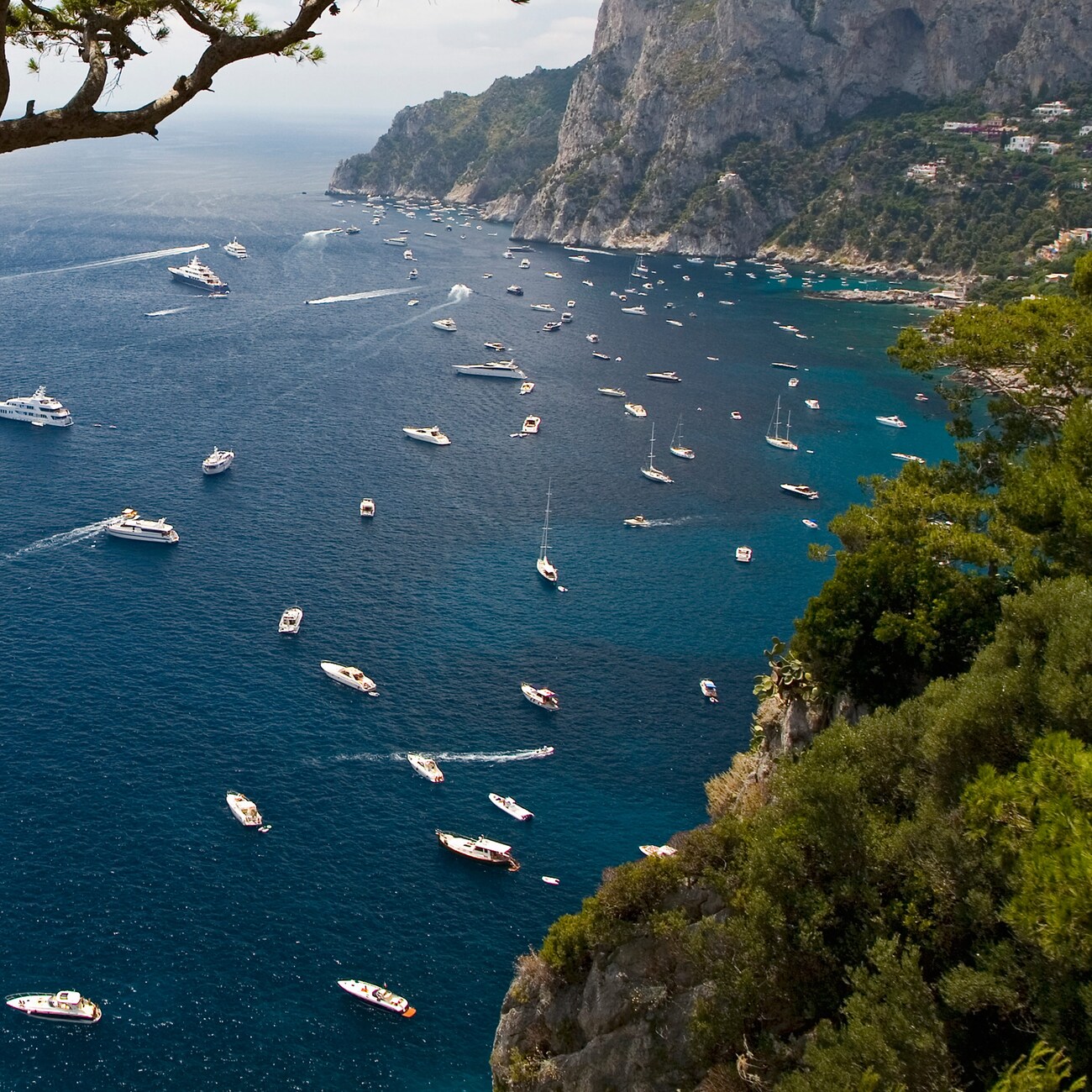 Sailboats in a bay