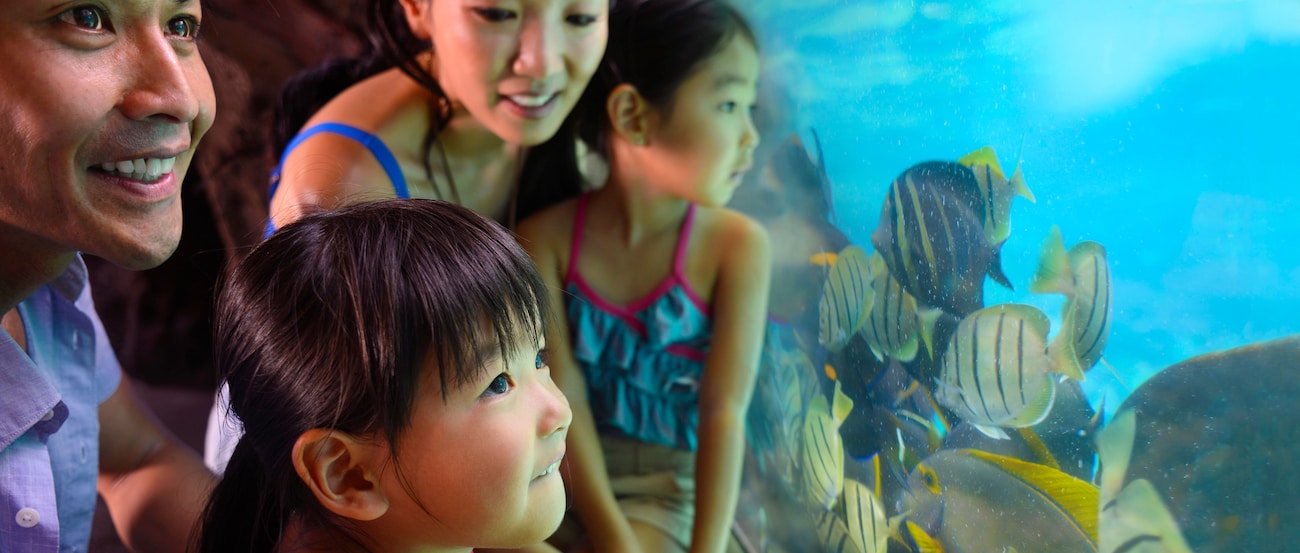 水族館でガラス越しに熱帯魚を興味深そうに眺める少女