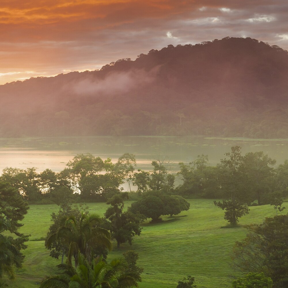 The Napo River and the Amazon Rainforest