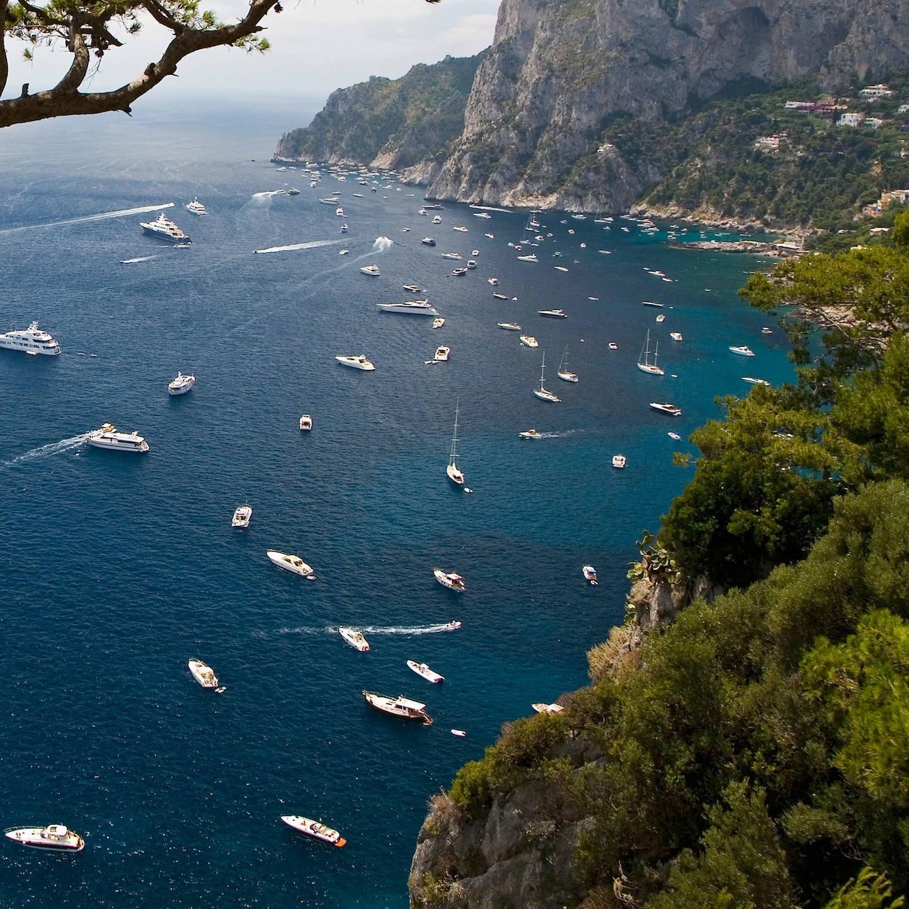 Sailboats in a bay