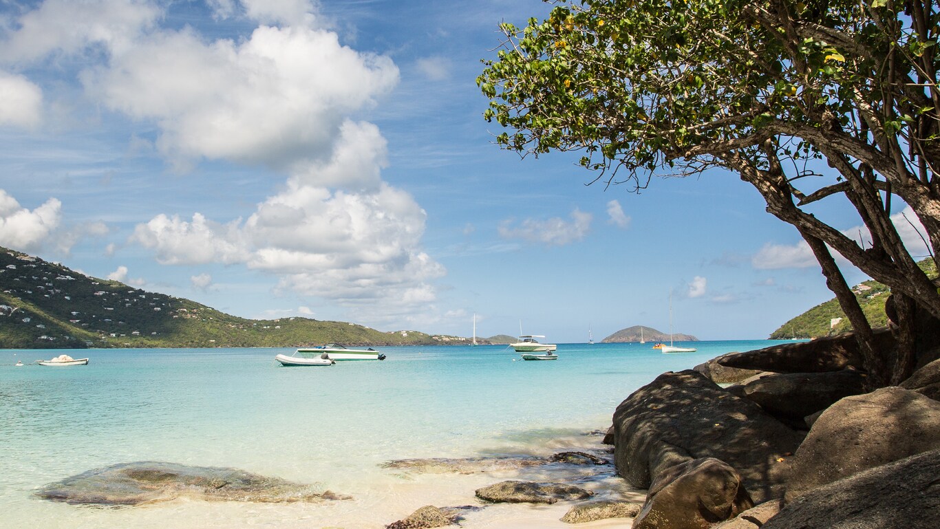 Pleasure boats docked in a serene lagoon surrounded by palm trees