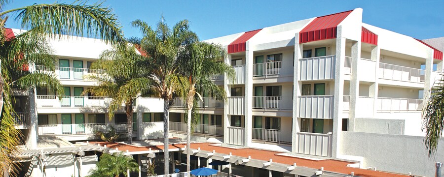 Palm trees and, beyond, the buildings at the rear of the Motel 6 Anaheim  Maingate