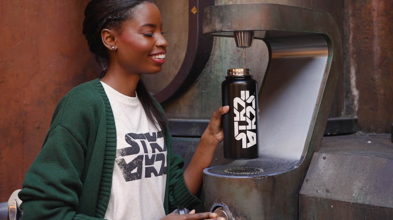 新品 ウォルトディズニーワールド 公式エプロン Official Park Merchandise & Trends | Walt Disney World Resort