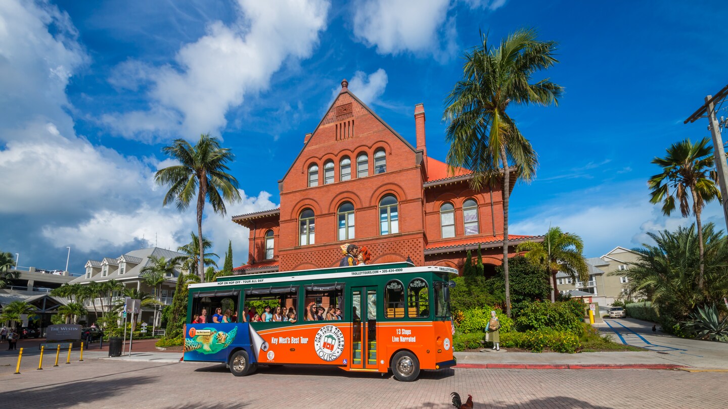 Open-Air Sightseeing Trolley Tour in Key West: Adult Only | Disney