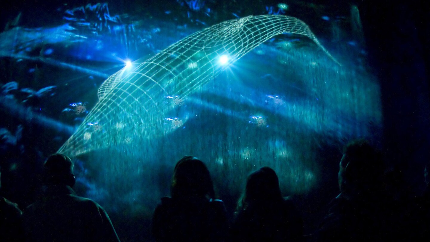 Highlights of Tour Adults Only Disney Cruise Line