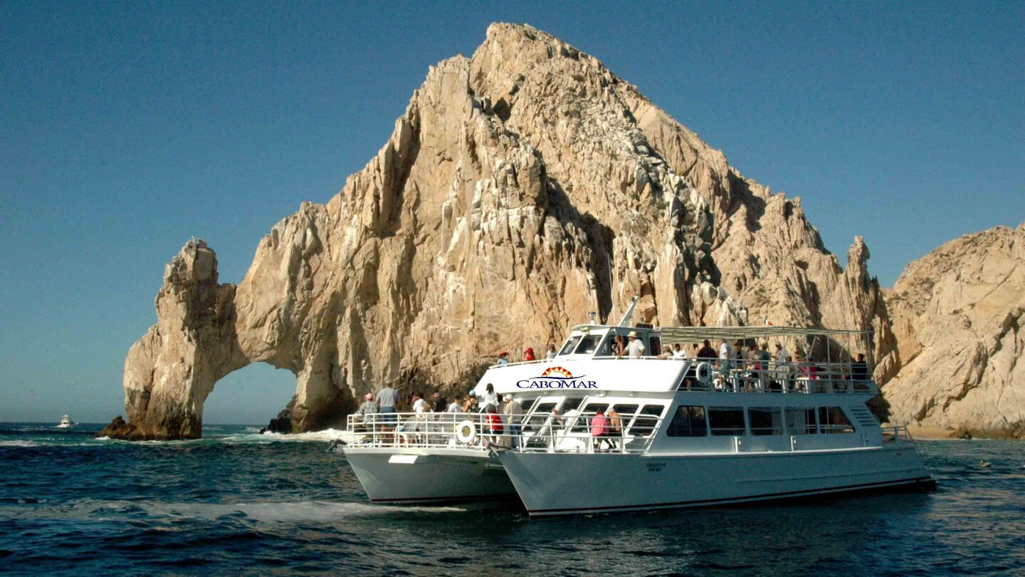whale watching cruise cabo san lucas