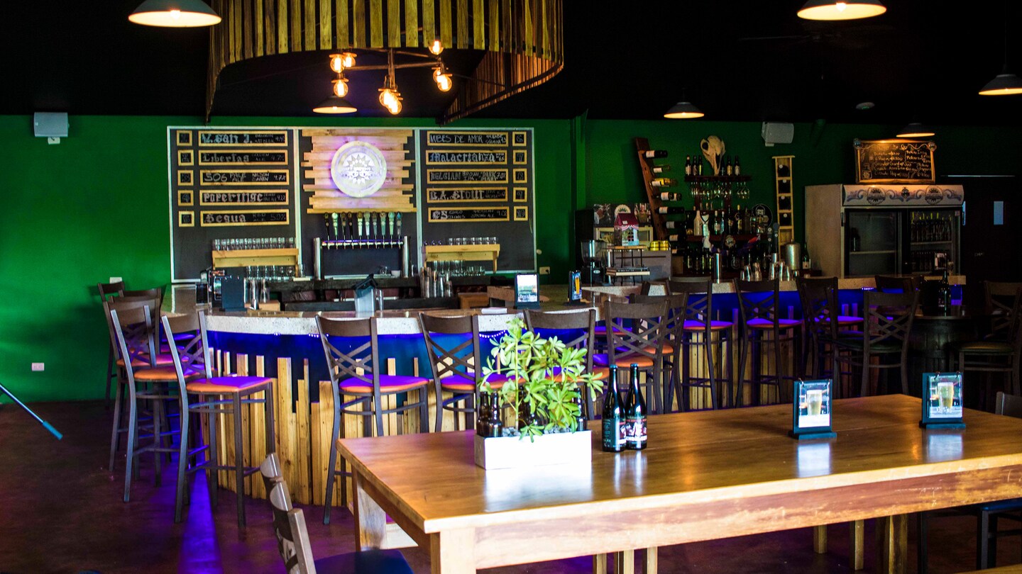 Puntarenas Craft Beer Tasting & Lunch Disney Cruise Line