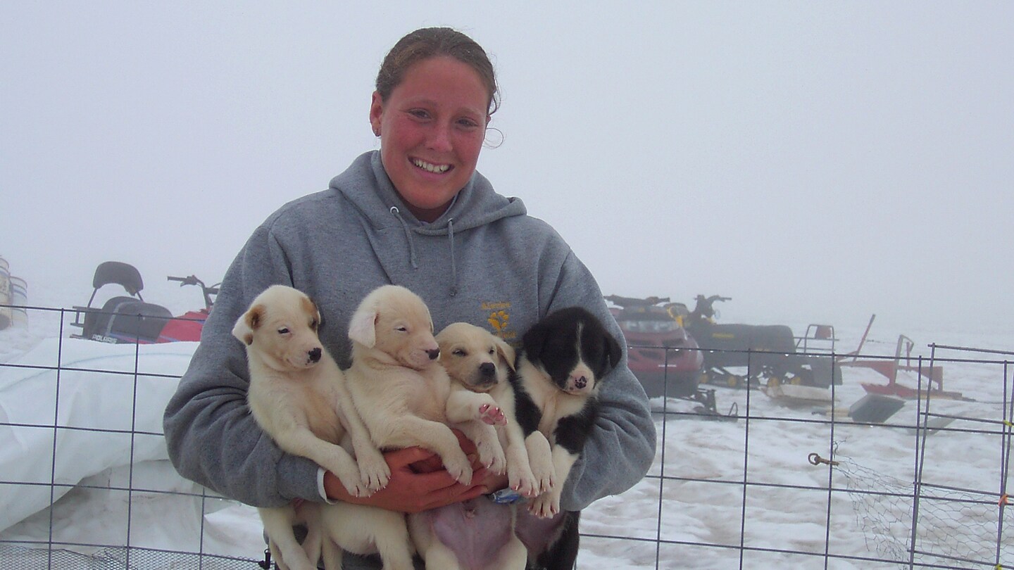 Dog Sledding and Glacier Flightseeing Disney Cruise Line