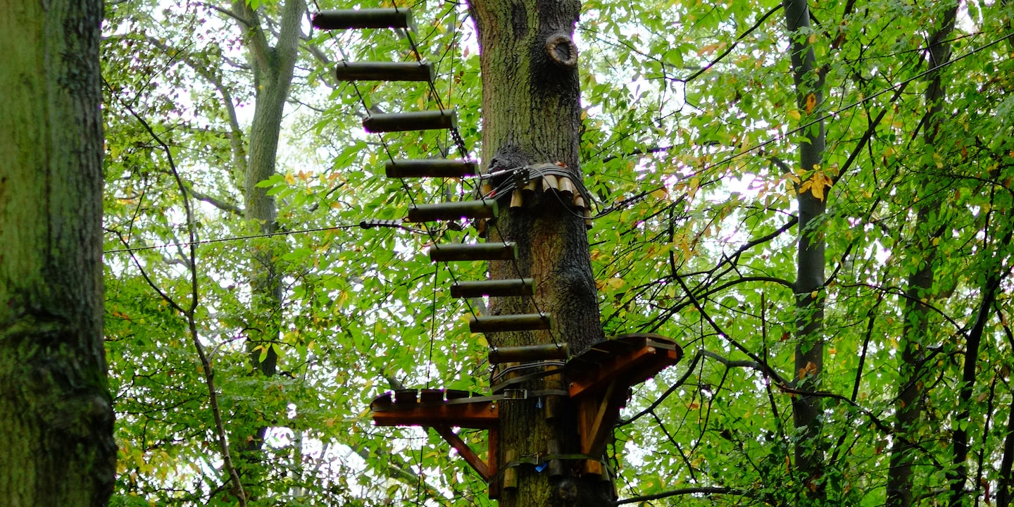 A ropes course bridge high in the tree tops of a tree climbing park in Rouen, France