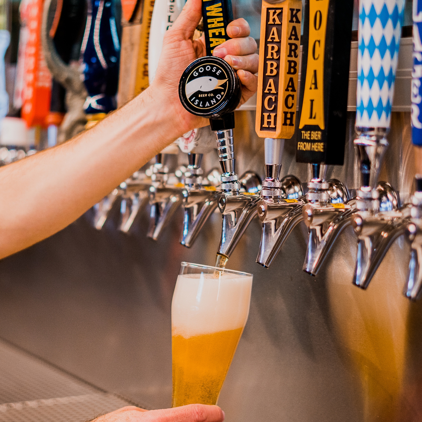 undefined slide 57 of 12 A bartender pulls down on a lever to pour a glass of beer