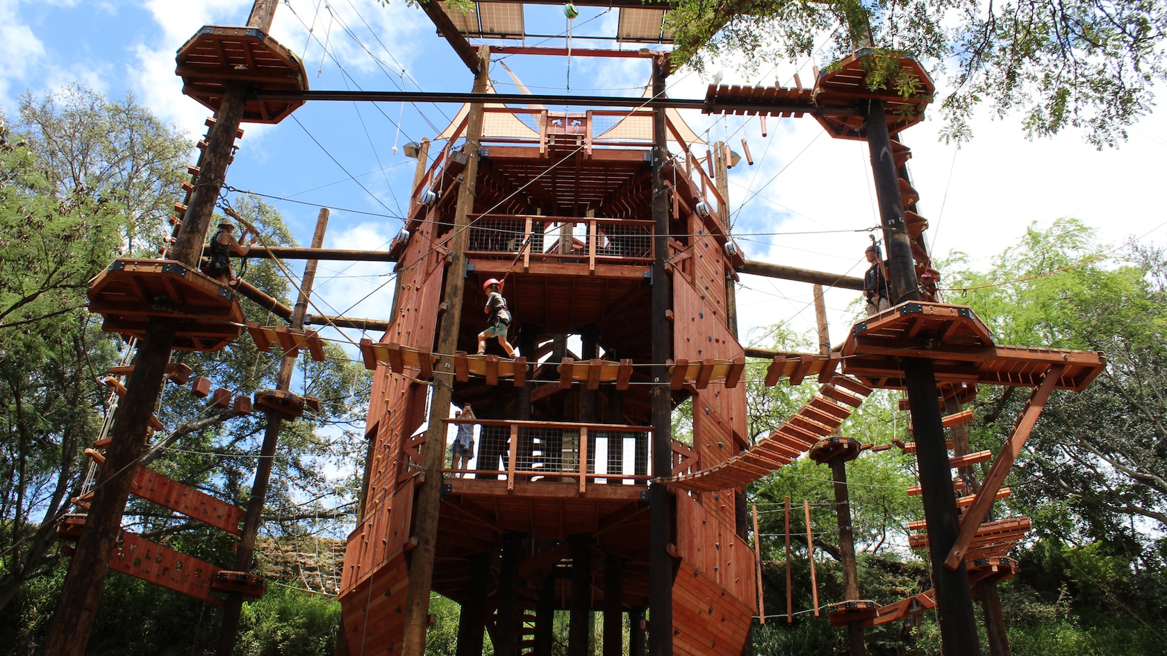 A child wearing a helmet and a harness walks across a rope bridge at Coral Crater Adventure Park