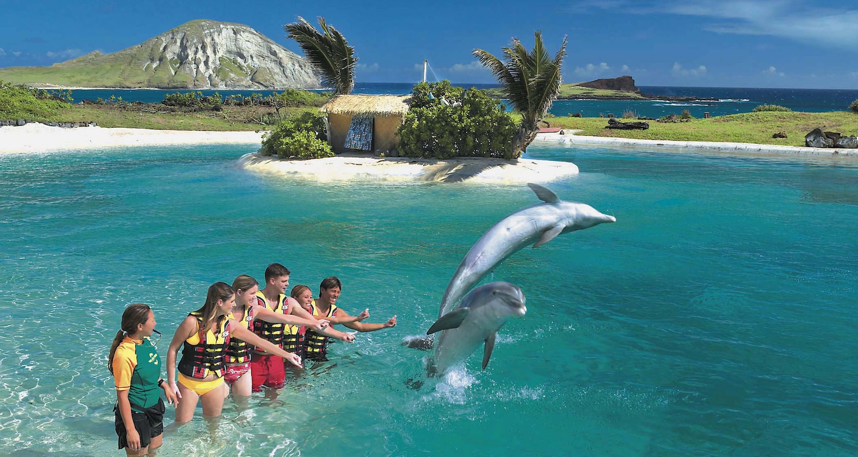 Two dolphins leap out of a lagoon as a group of people look on