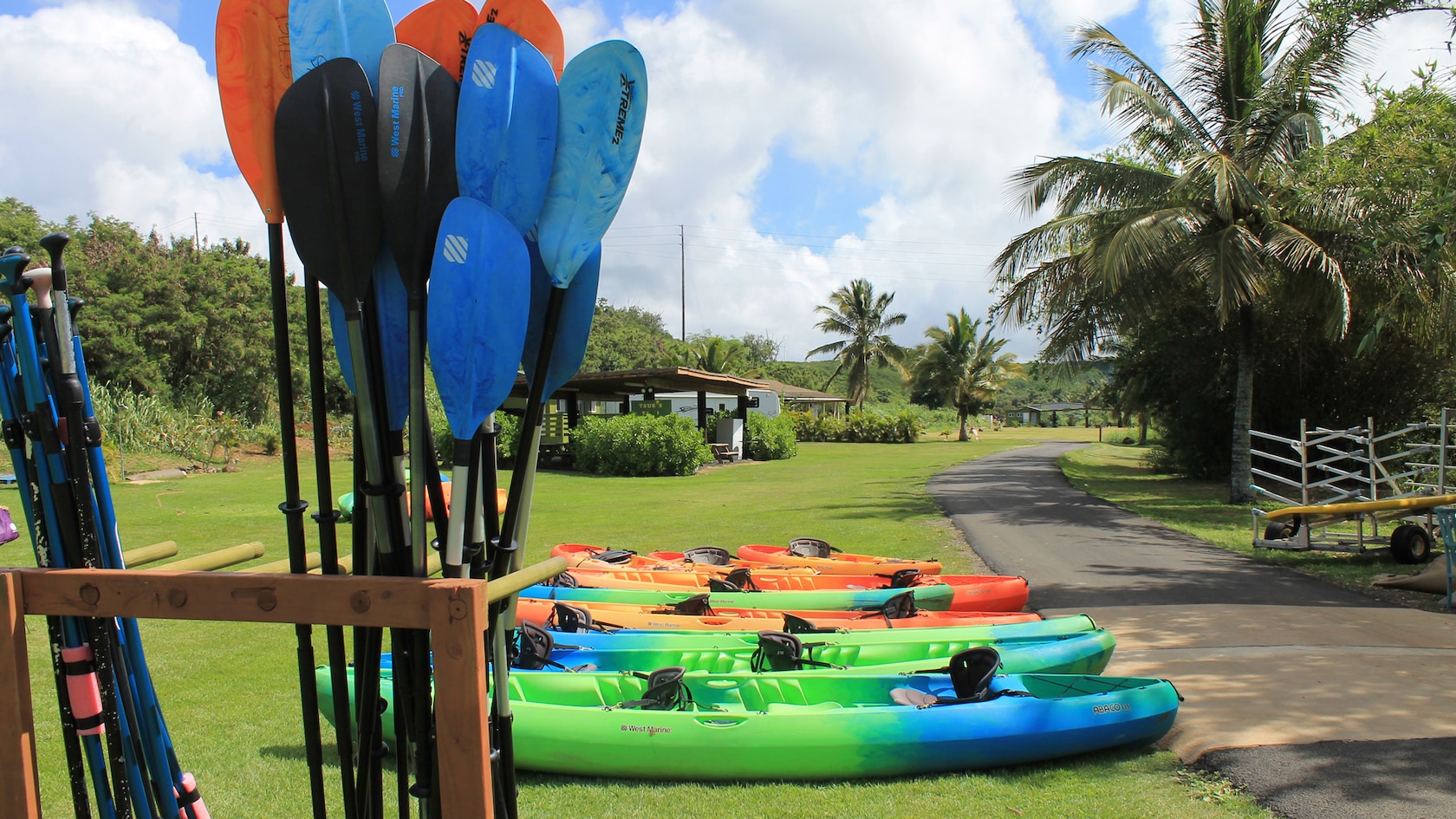Surfboards lined up outside a quaint surf shop close to the ocean