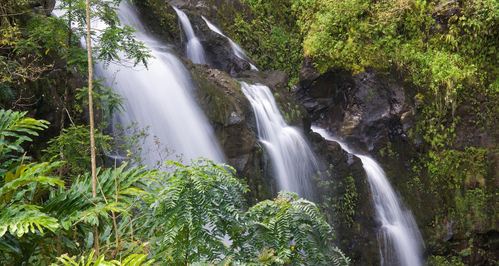 Rushing water cascades down a steep tropical hillside
