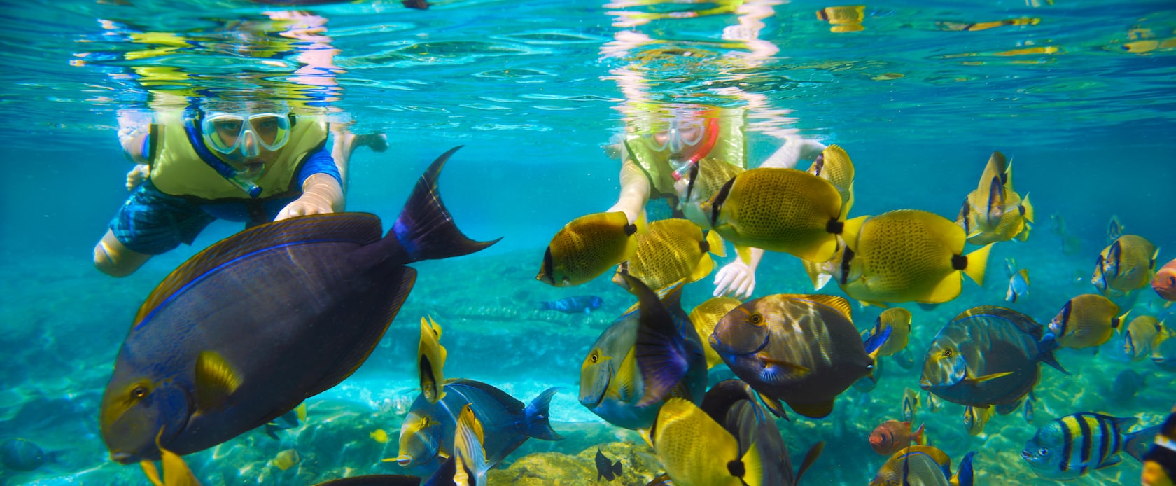 Young Guests swim toward a school of tropical fish while snorkeling in the waters of Rainbow Reef